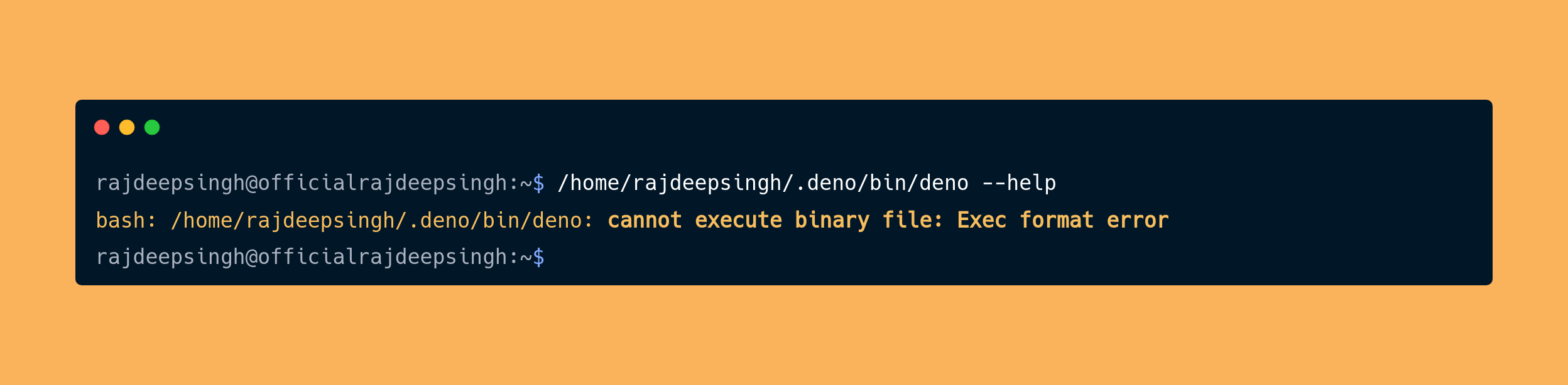 Deno cannot execute binary file: Exec format error in Raspberry pi