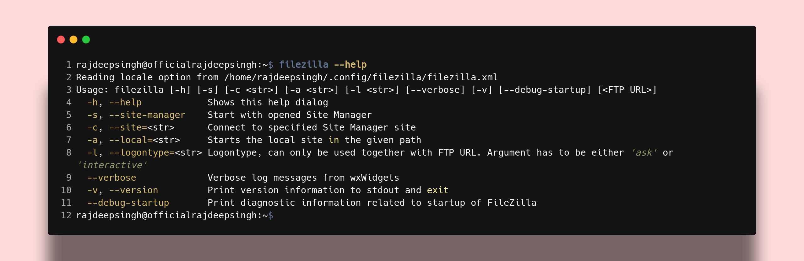 Filezilla help command output