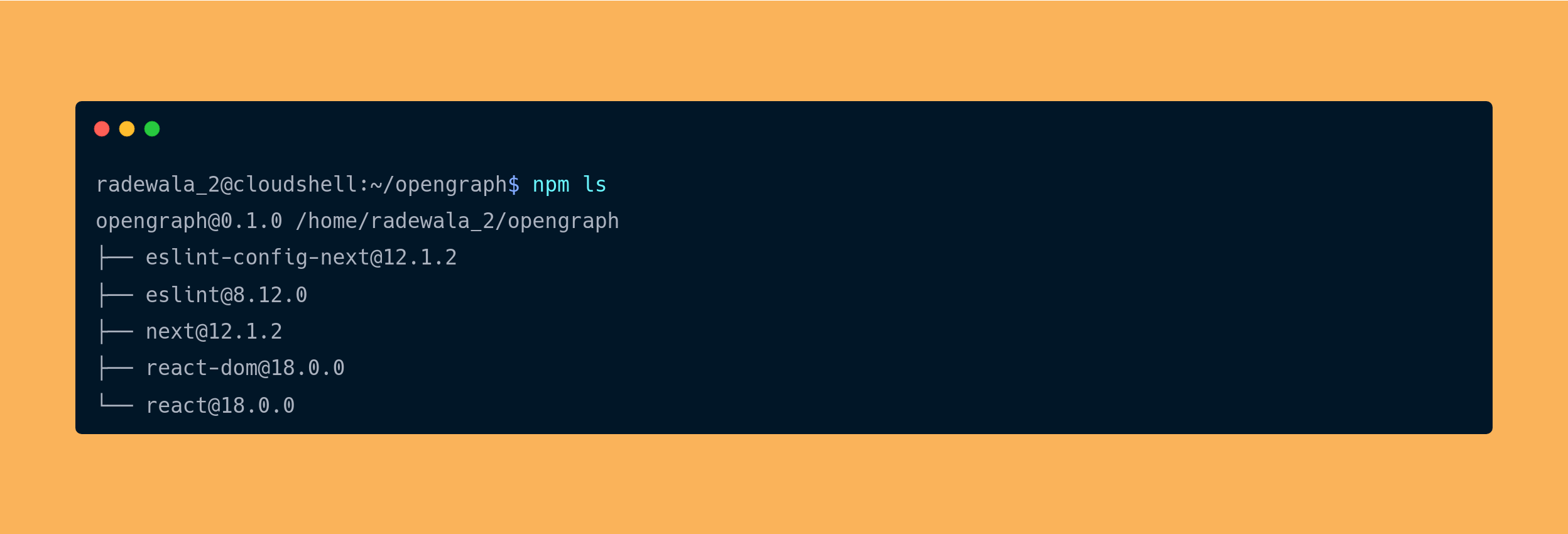 Npm ls command