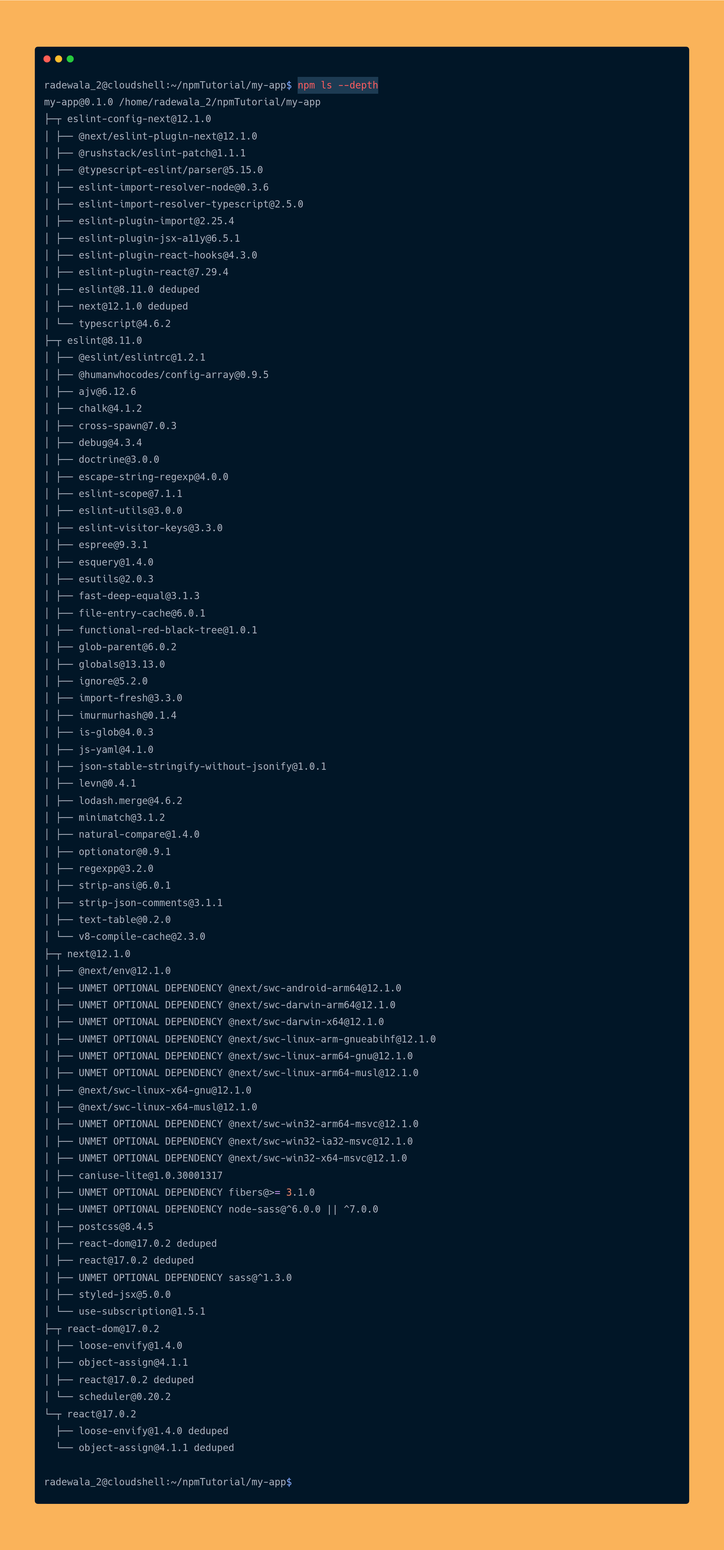output the npm ls --depth