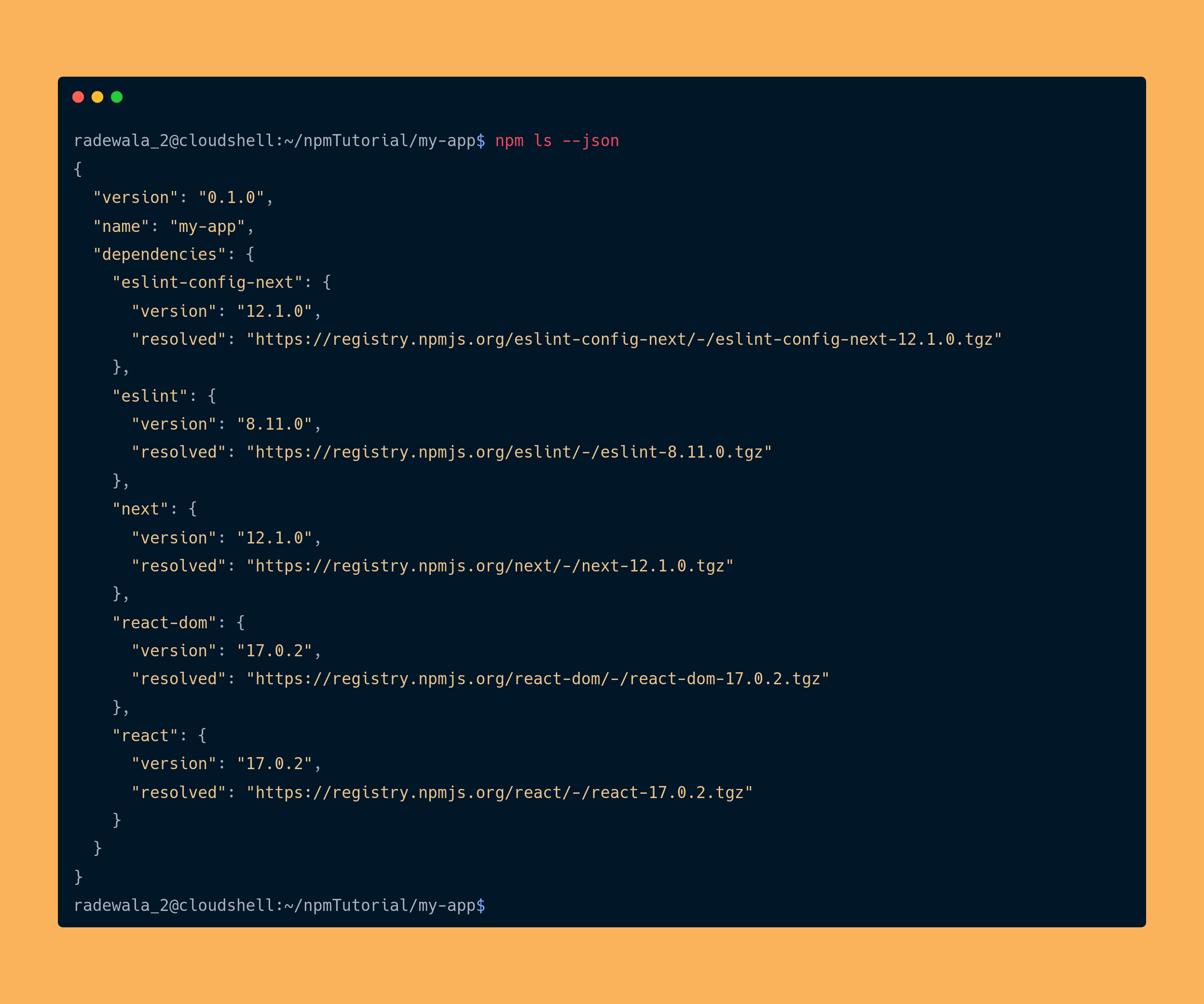 output the npm ls --json